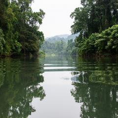 Sirebe tribal land - Kolombangara river